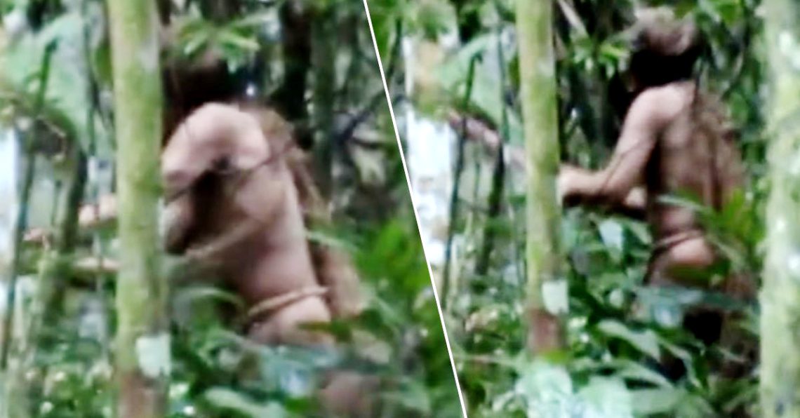 After 22 Years Living Alone In The Amazon, This Tribal Massacre Survivor Was Captured On Camera