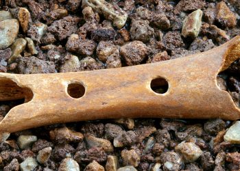 An Archaeologist Was Exploring A Cave In Europe When He Found An Incredible 43,000-Year-Old Relic