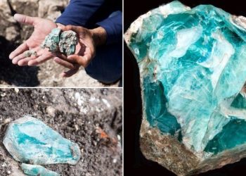 Archaeologists Found These Ancient Relics In Israel – And They’ve Reshaped How We See The Romans