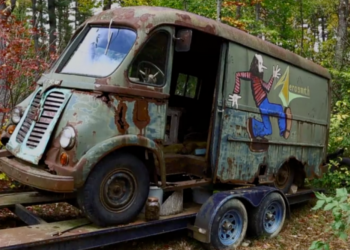 When Two Reality Stars Ventured Into Some Woods, They Discovered An Iconic Rock And Roll Relic
