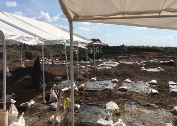 Workers On A Texas Construction Site Uncovered A Truly Disturbing Century-Old Secret